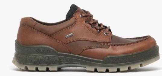 Ecco Track 25 Bison Mens Goretex Laced Walking Shoe 831714 – Finn