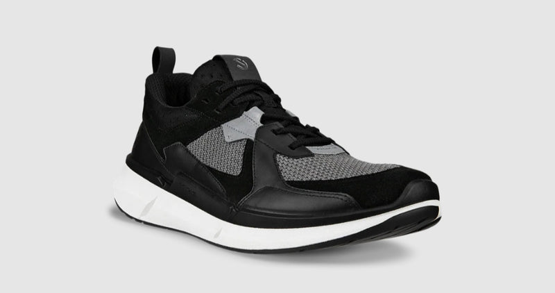 Ecco Biom 2.2 Men&