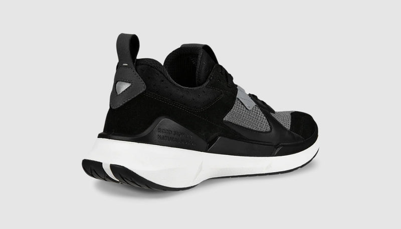 Ecco Biom 2.2 Men&