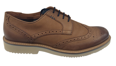 Dubarry Stan Men's Laced Shoe 5863-95