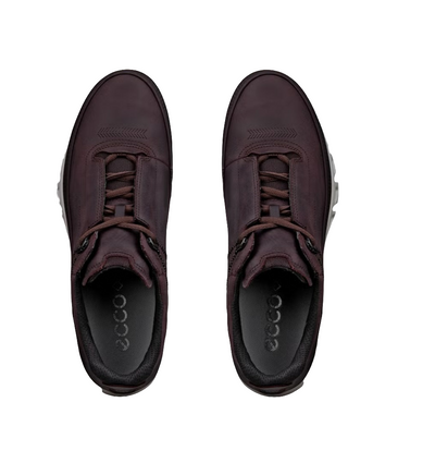 Ecco Multi Vent Men's Goretex Shoe 880124