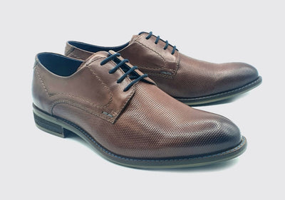 Dubarry Duke Men's Laced Shoe 5846