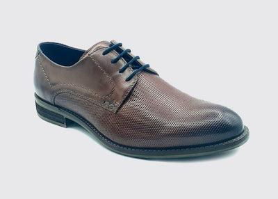Dubarry Duke Men's Laced Shoe 5846