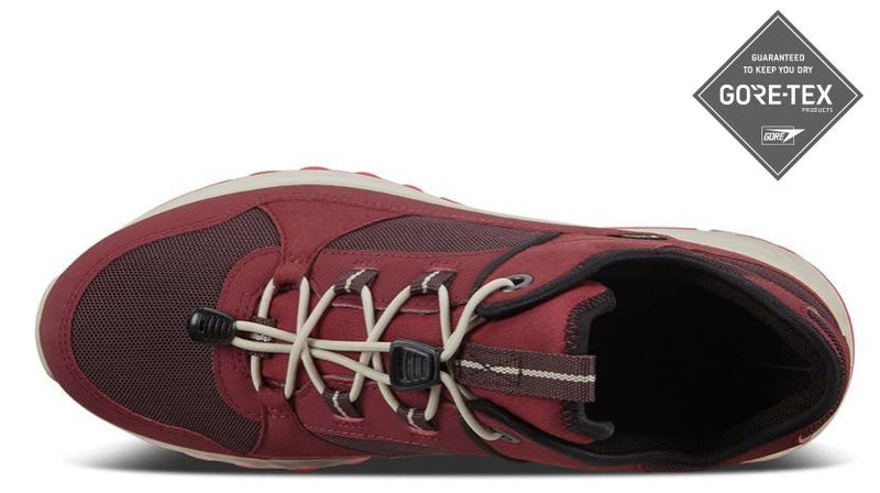 Ecco Exostride Ladies Goretex Walking Trainer 835333 - Finn Footwear