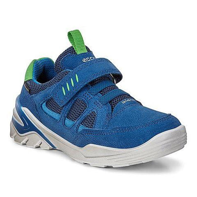 Ecco Boys Blue Biom Vojage Poseidon GTX Shoe 706582 - Finn Footwear