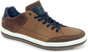 Morgan & Co. Mens Tan Laced Shoe MGN0934 - Finn Footwear